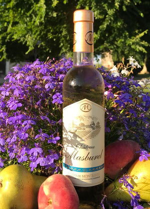 Le Château Masburel AOC Cotes de Montravel Blanc Moelleux 2019 (50cl)